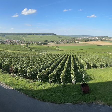 Au Coeur Du Terroir Champenois Villa Chavot-Courcourt Екстериор снимка
