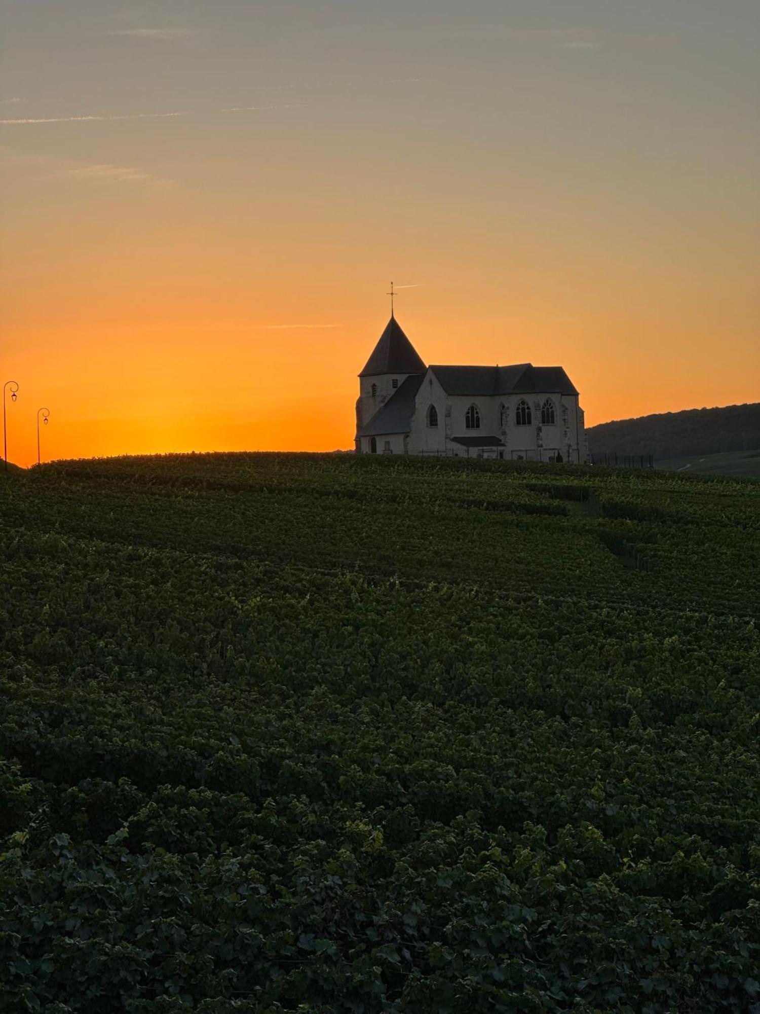 Au Coeur Du Terroir Champenois Villa Chavot-Courcourt Екстериор снимка
